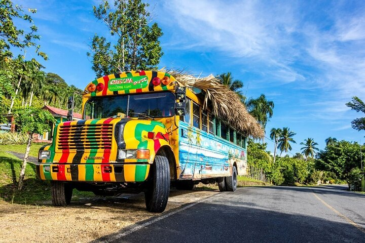 Eco Caribe Full Day Trip with Lunch from Punta Cana  - Photo 1 of 10